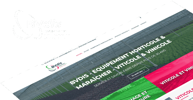 BVDIS
